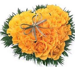 "Sunny Heart - Click here to View more details about this Product
